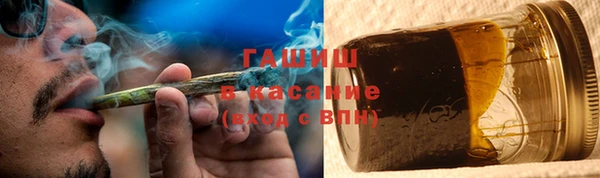 амф Ельня