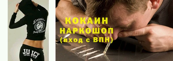 амф Ельня