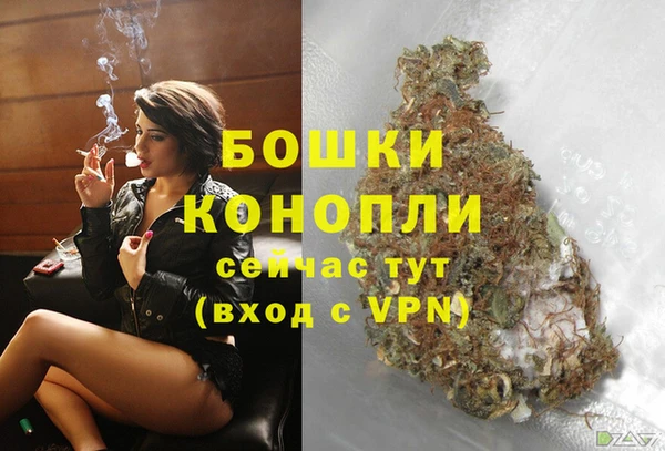 амф Ельня