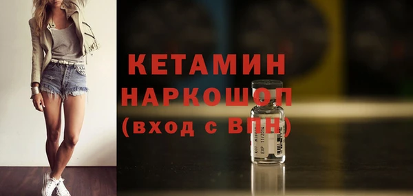 амф Ельня