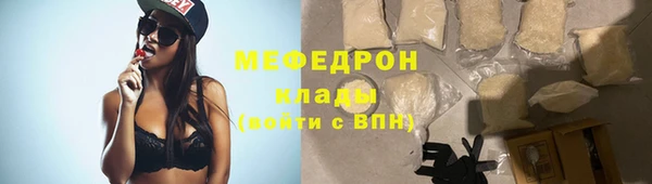 амф Ельня