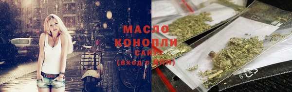 амф Ельня