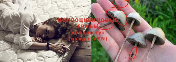 амф Ельня